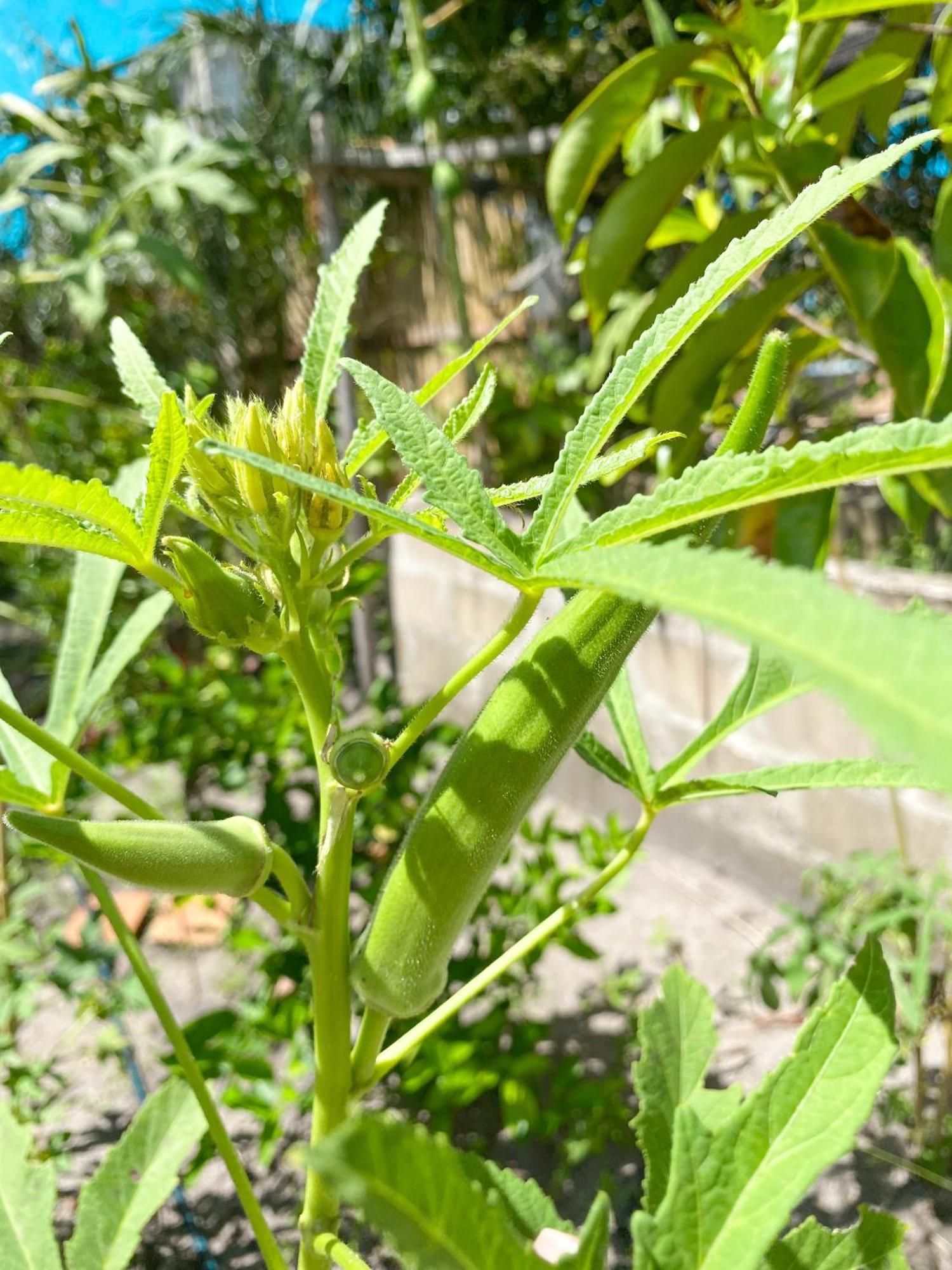 Aldeia Corumbau Luaran gambar